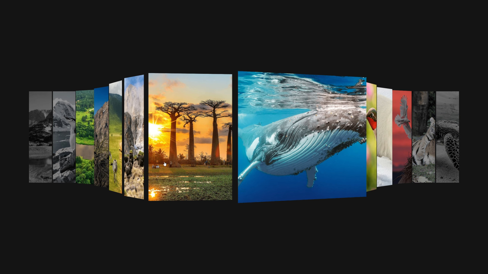 Slideshow effect. S001