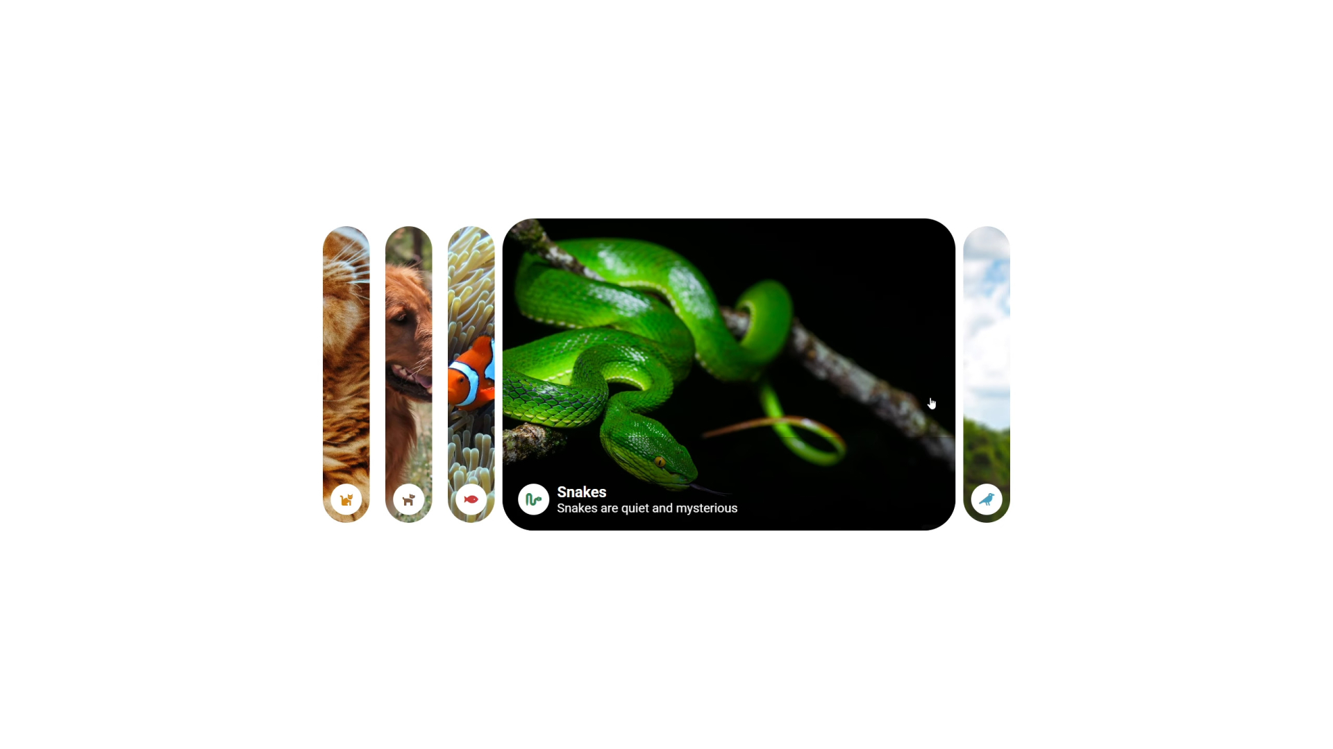 Slideshow effect. S007